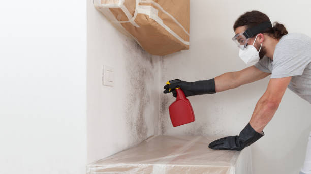 Professional Black Mold Remediation technician working in Boston, GA