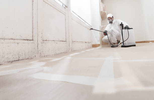 24/7 Emergency Black Mold Remediation experts in Boston, GA